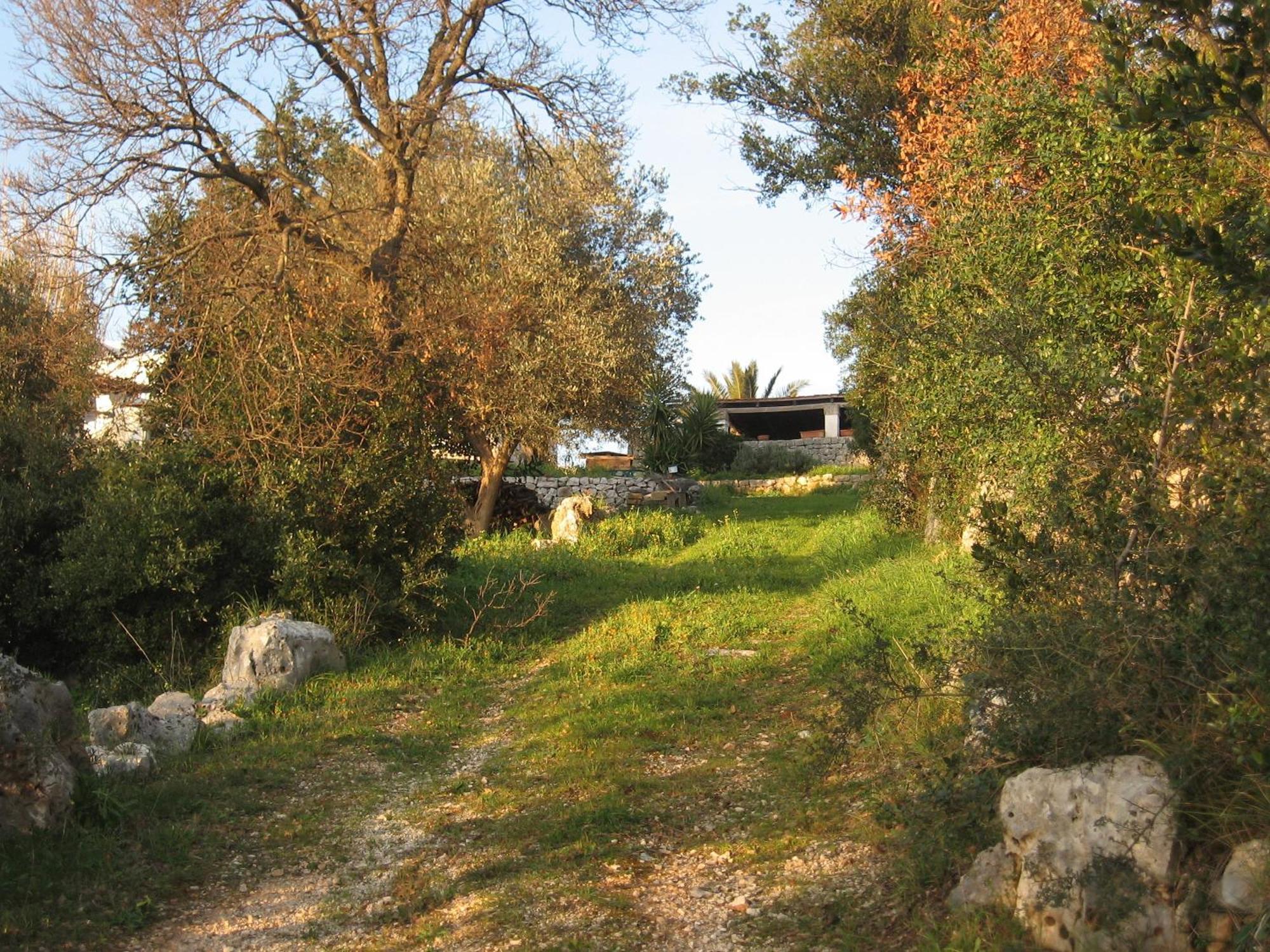 B&B Cinque Stalle Monopoli Exterior photo